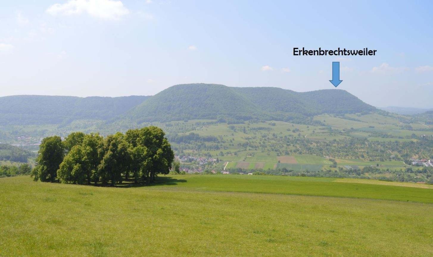 Fewo-Alb-Traum Erkenbrechtsweiler المظهر الخارجي الصورة